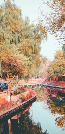 [2436x1125]河道 水面 树木 秋季 落叶 苹果手机壁纸图片