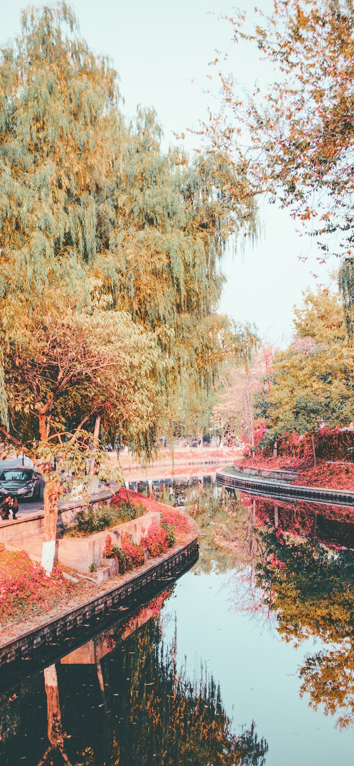 [2436×1125]河道 水面 树木 秋季 落叶 苹果手机壁纸图片