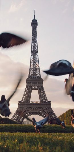 [2436x1125]法国 巴黎铁塔 飞鸟 景点 苹果手机壁纸图片