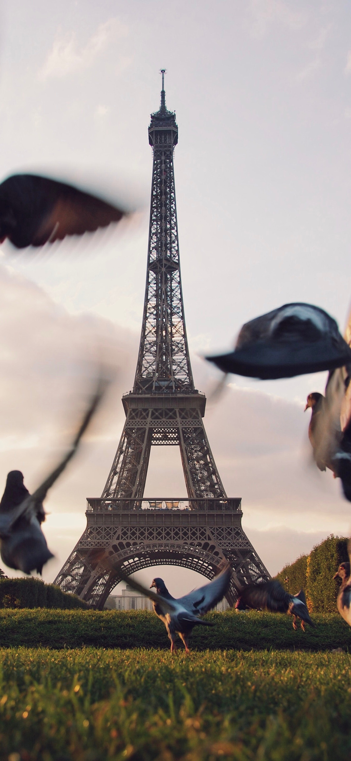 [2436×1125]法国 巴黎铁塔 飞鸟 景点 苹果手机壁纸图片