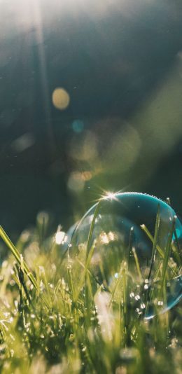 [2436x1125]泡沫 气泡 草地 阳光 苹果手机壁纸图片