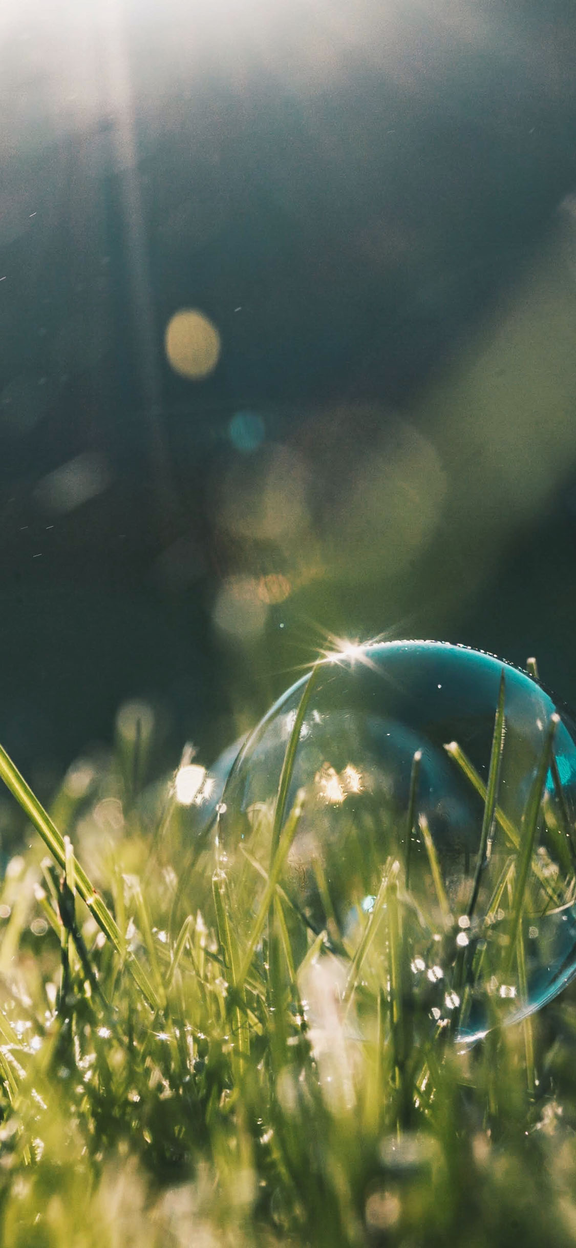 [2436×1125]泡沫 气泡 草地 阳光 苹果手机壁纸图片