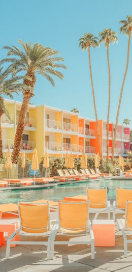 [2436x1125]泳池 夏日 棕榈树 度假 躺椅 苹果手机壁纸图片