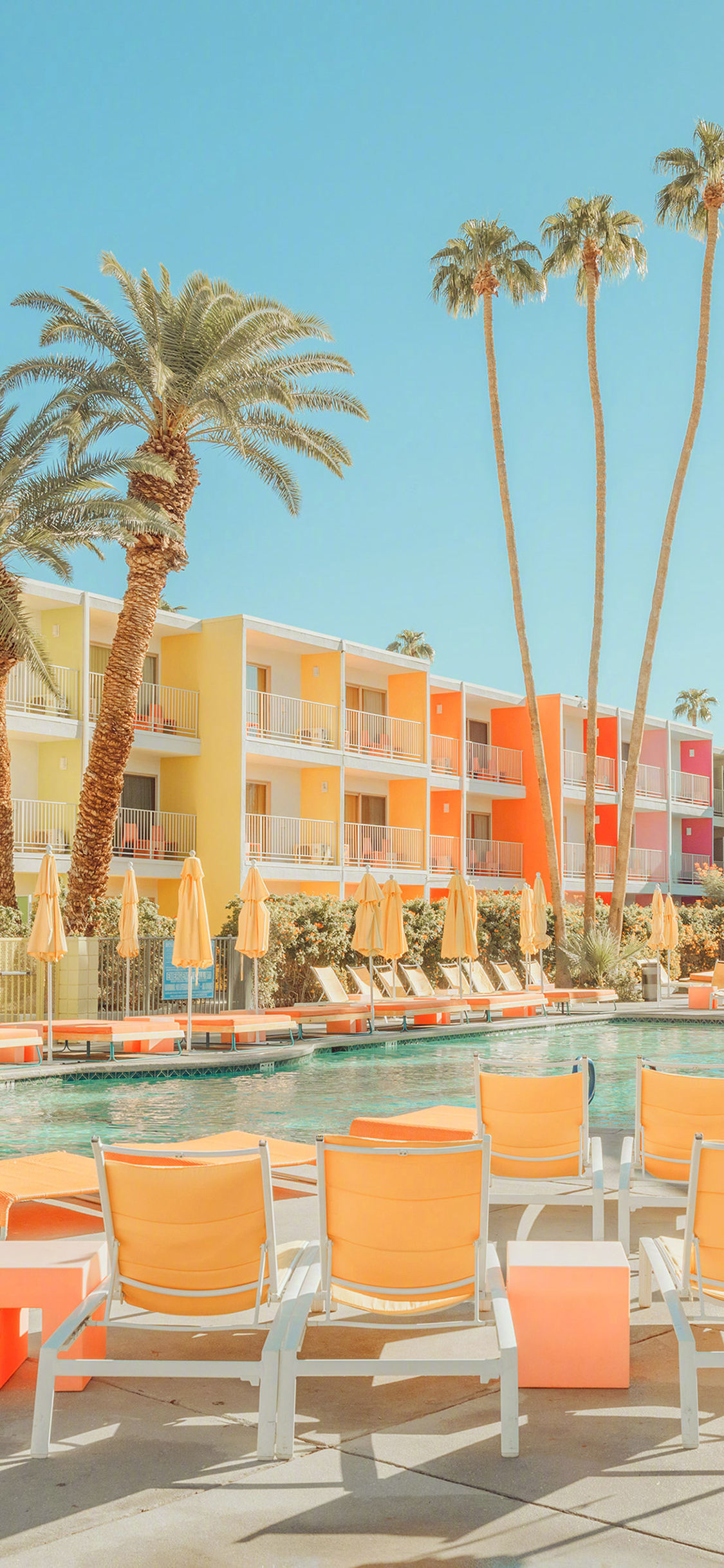 [2436×1125]泳池 夏日 棕榈树 度假 躺椅 苹果手机壁纸图片