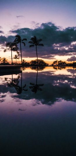 [2436x1125]泳池 椰树 晚霞 唯美 浪漫 苹果手机壁纸图片