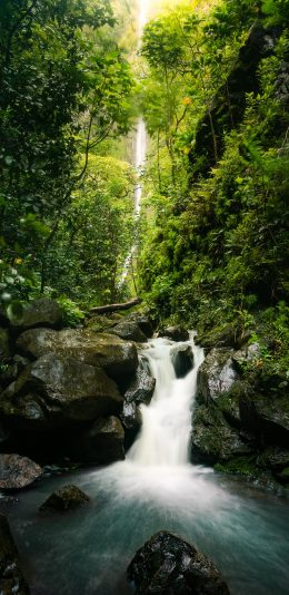 [2436x1125]流水 森林 野外  山林 绿意 池塘 苹果手机壁纸图片