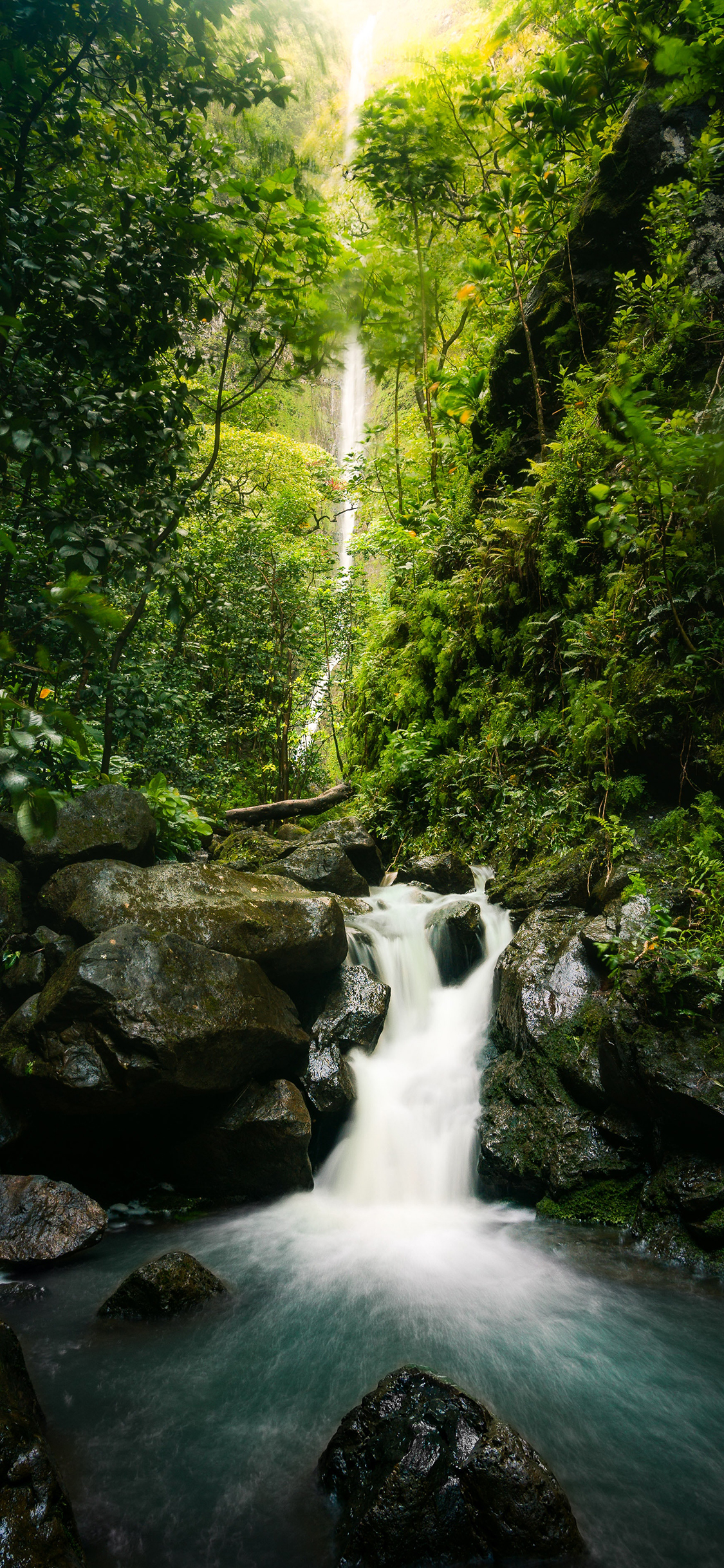 [2436×1125]流水 森林 野外  山林 绿意 池塘 苹果手机壁纸图片