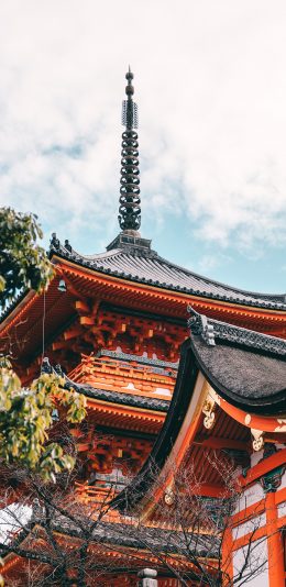 [2436x1125]浅草寺 寺庙 日本 建筑 苹果手机壁纸图片