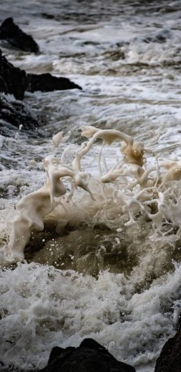 [2436x1125]浪花 海浪 飞溅 海岸 苹果手机壁纸图片