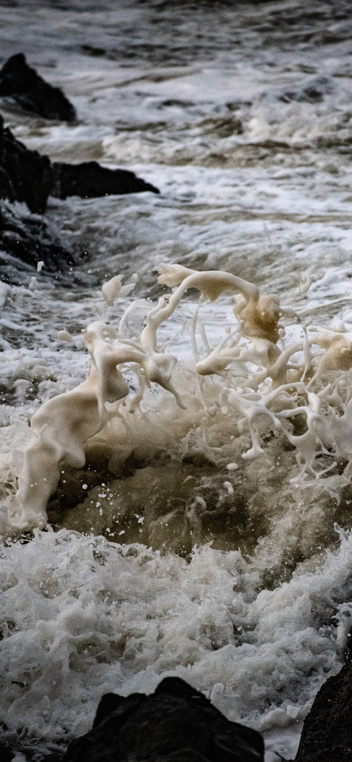 [2436×1125]浪花 海浪 飞溅 海岸 苹果手机壁纸图片
