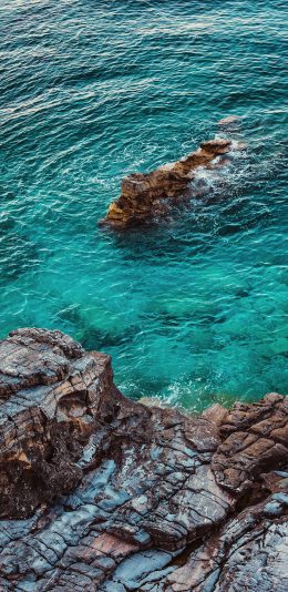 [2436x1125]海岸 海虾 海水 清澈 苹果手机壁纸图片