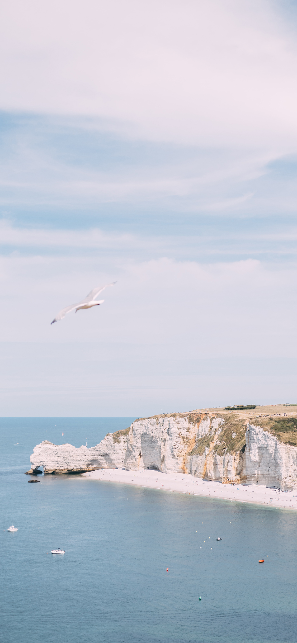 [2436×1125]海岸 海边 云彩 飞鸟 苹果手机壁纸图片