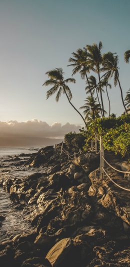 [2436x1125]海岸 礁石 椰树 海浪 栈道 苹果手机壁纸图片