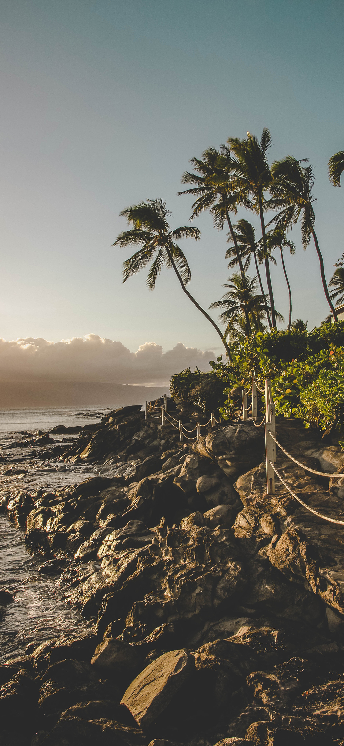 [2436×1125]海岸 礁石 椰树 海浪 栈道 苹果手机壁纸图片