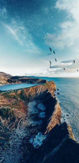 [2436x1125]海峡 海岸 大海 鸟 苹果手机壁纸图片
