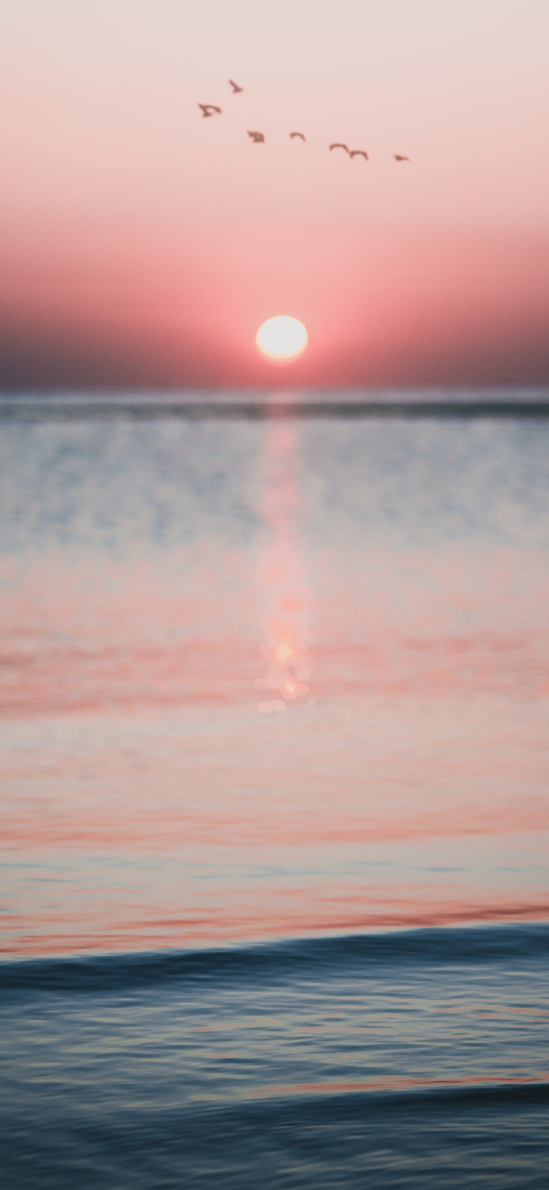 [2436×1125]海平面 夕阳 大海 飞鸟 苹果手机壁纸图片