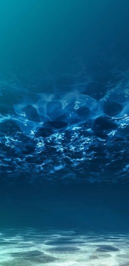 [2436x1125]海底 海洋 海水 蓝色 神秘 苹果手机壁纸图片