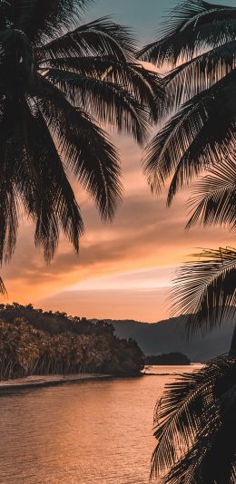 [2436x1125]海景 大海 夕阳 椰树 苹果手机壁纸图片