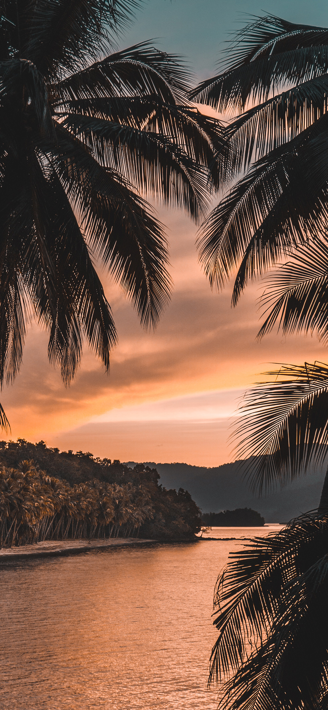 [2436×1125]海景 大海 夕阳 椰树 苹果手机壁纸图片