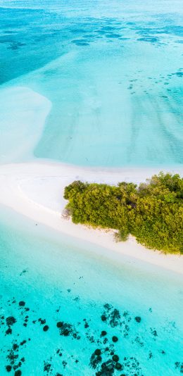 [2436x1125]海景 浅岸 蔚蓝 海域 苹果手机壁纸图片
