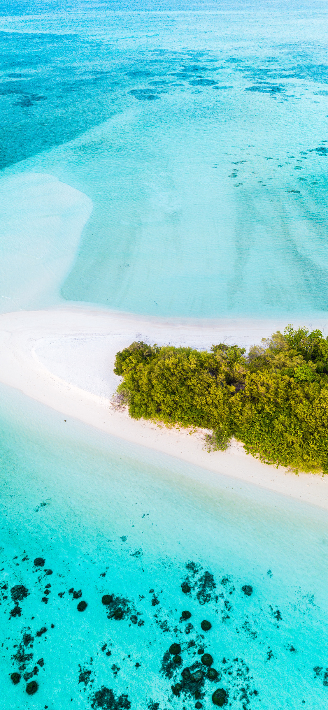 [2436×1125]海景 浅岸 蔚蓝 海域 苹果手机壁纸图片
