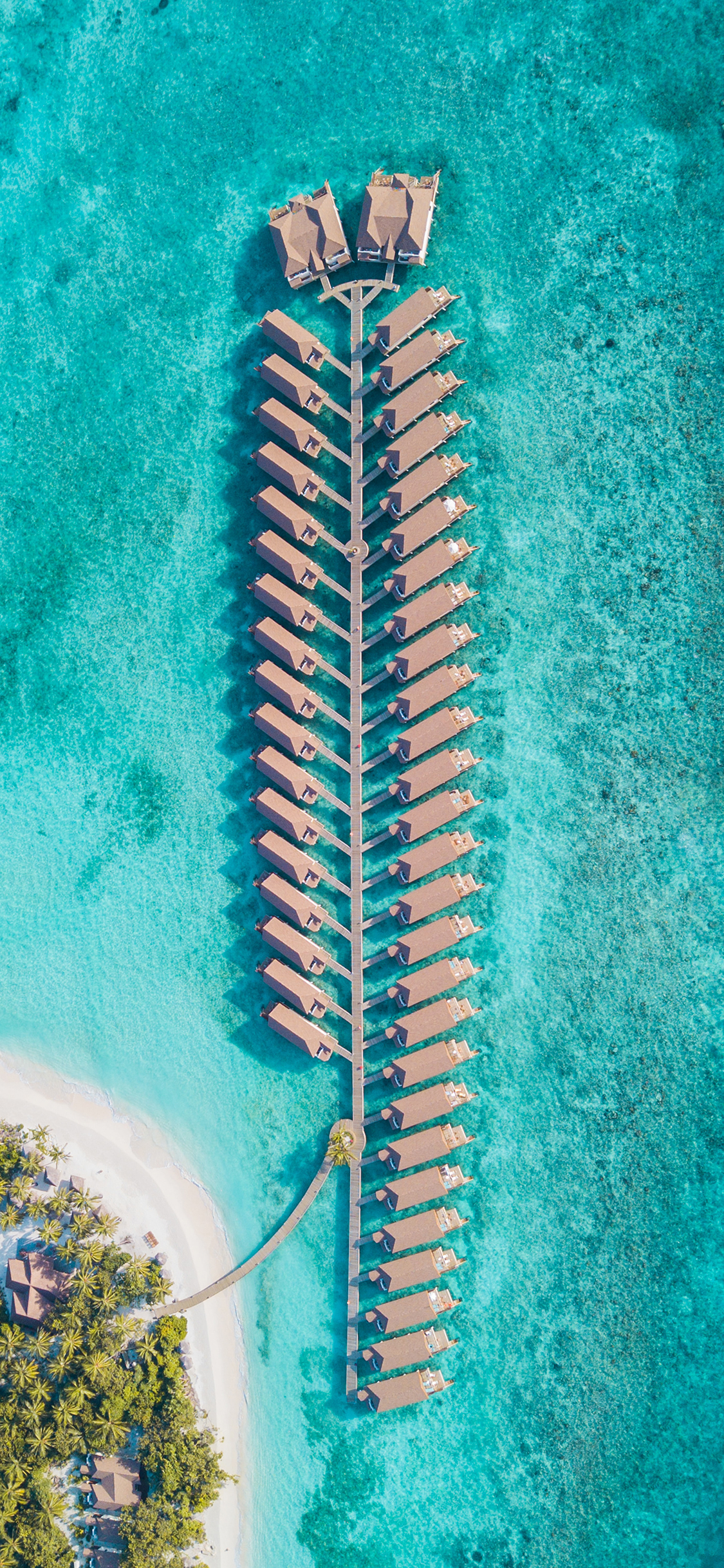 [2436×1125]海水 湛蓝 风景 休闲 度假 苹果手机壁纸图片