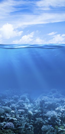 [2436x1125]海洋 海底 海水 蓝色 苹果手机壁纸图片