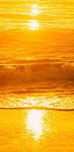 [2436x1125]海浪 海水 沙滩 黄色 阳光 苹果手机壁纸图片