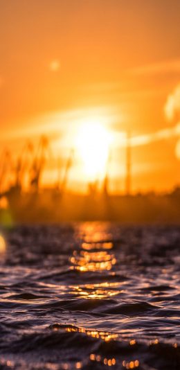 [2436x1125]海边 夕阳美景 波光粼粼 苹果手机壁纸图片