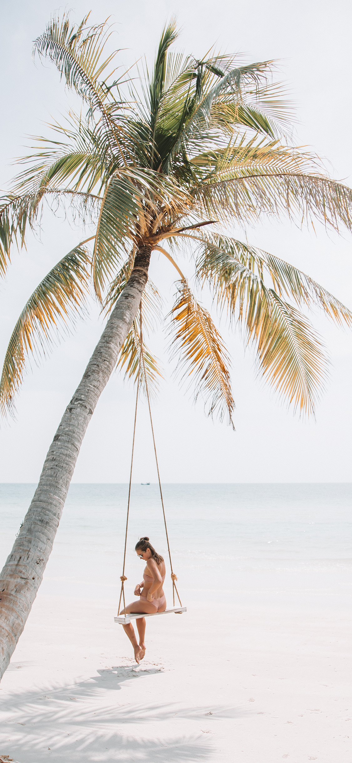 [2436×1125]海边 椰树 秋千 女孩 苹果手机壁纸图片