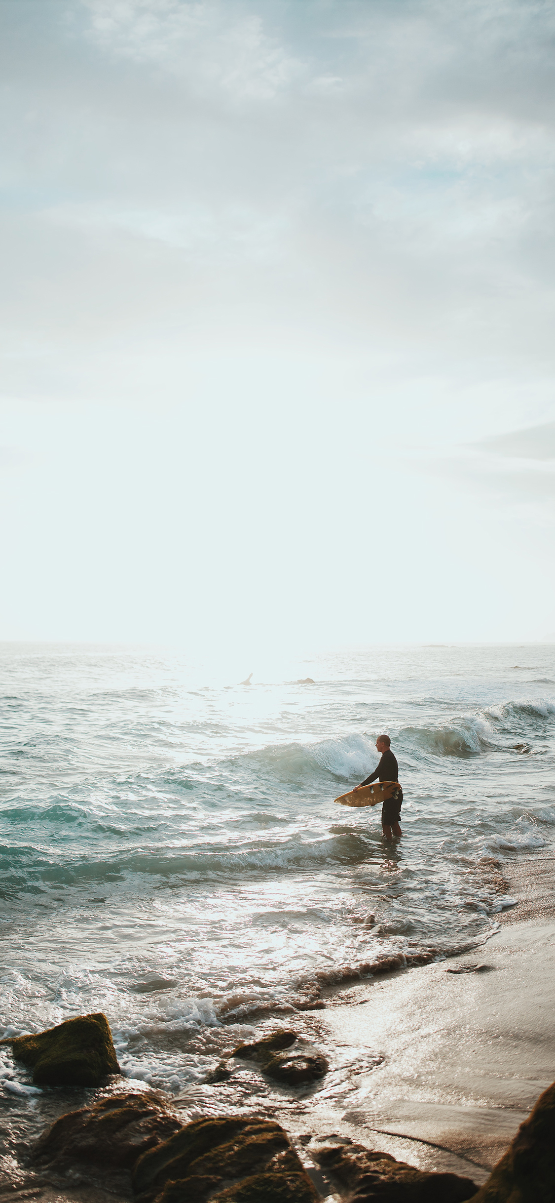 [2436×1125]海边 海浪 冲浪 运动 苹果手机壁纸图片