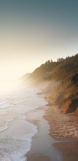 [2436x1125]海边 海浪 烟雾 苹果手机壁纸图片