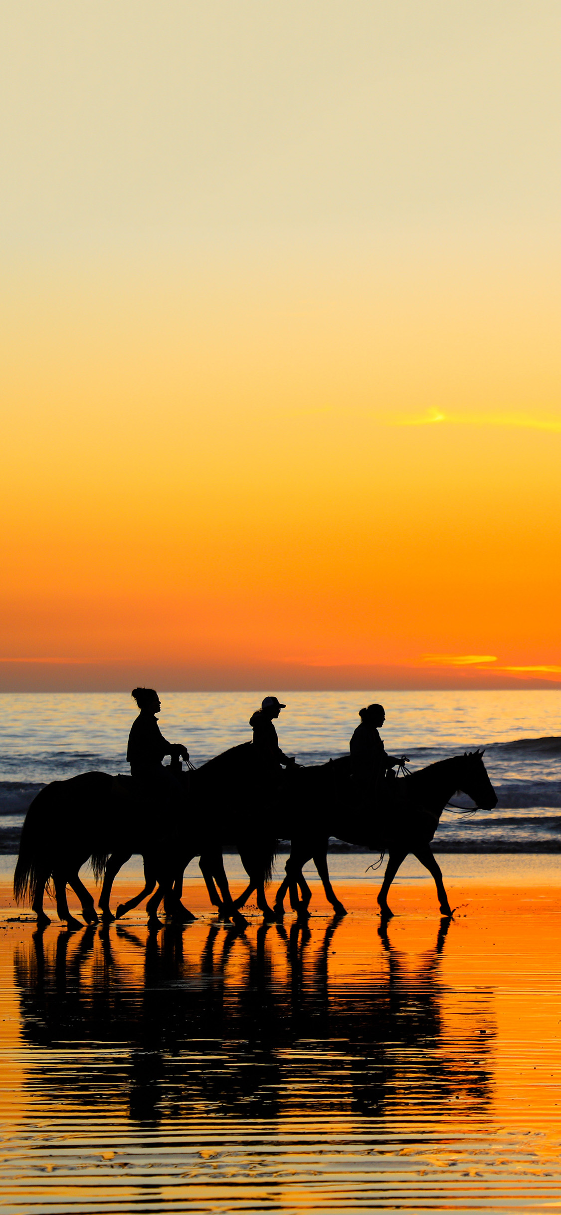 [2436×1125]海边 落日 骑马 唯美 苹果手机壁纸图片