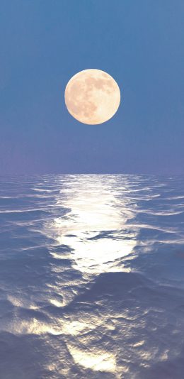 [2436x1125]海面 太阳 海水 倒影 苹果手机壁纸图片