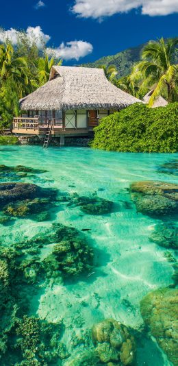 [2436x1125]清澈 礁石 海水 度假 苹果手机壁纸图片