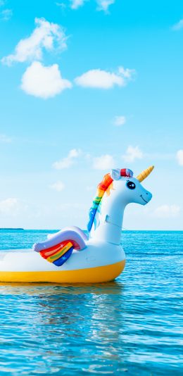 [2436x1125]游泳圈 天空 蔚蓝 大海 苹果手机壁纸图片