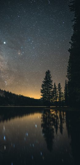 [2436x1125]湖泊 树木 星空夜景 唯美 苹果手机壁纸图片