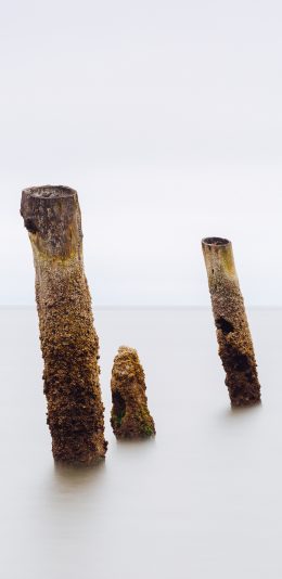 [2436x1125]湖泊 树桩 枯木 意境 苹果手机壁纸图片