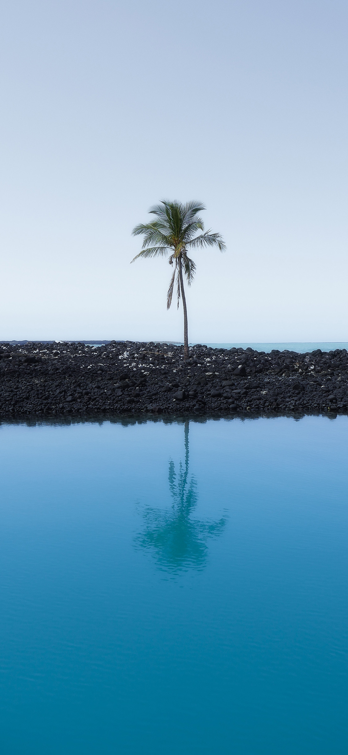 [2436×1125]湖泊 椰树 倒影 宁静 苹果手机壁纸图片