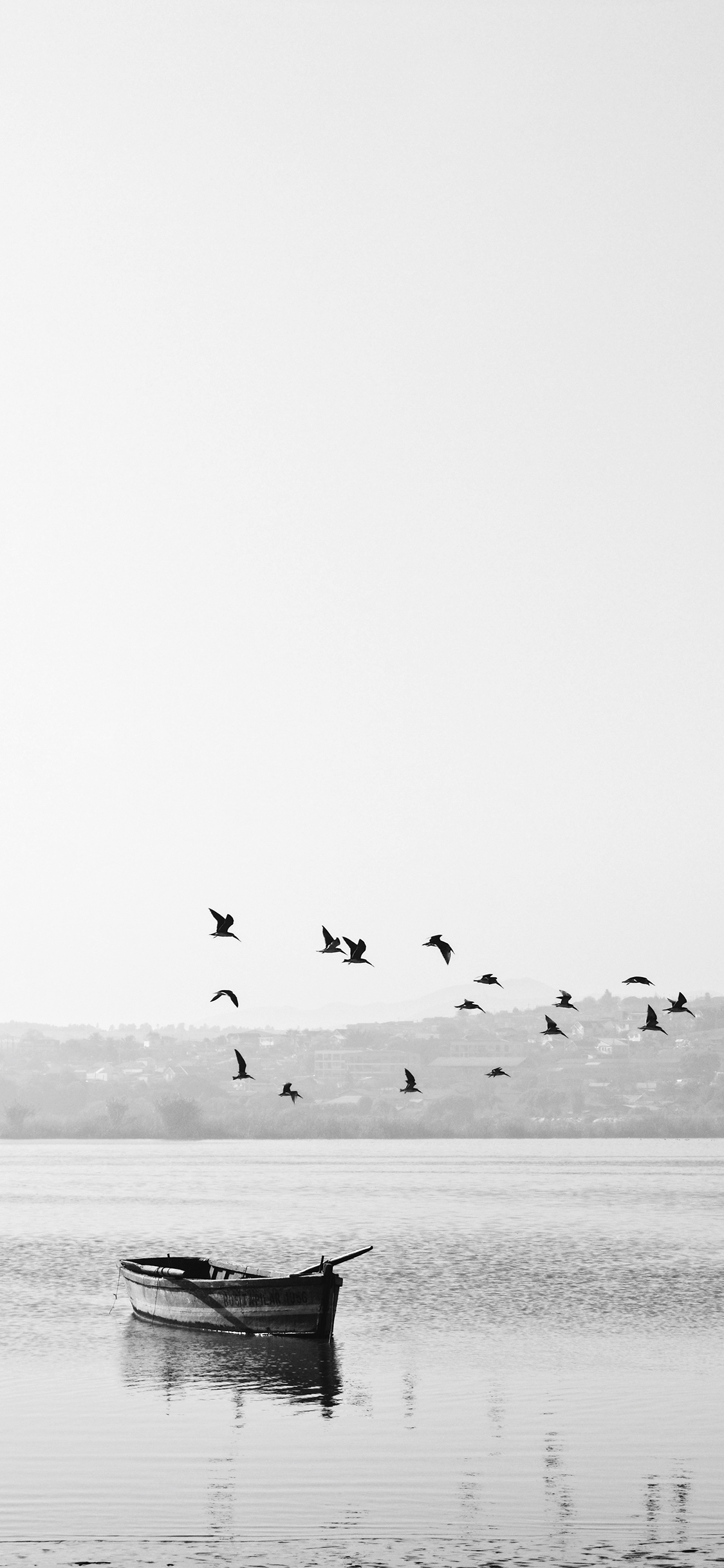 [2436×1125]湖泊 自然 船只 飞鸟 黑白 意境 苹果手机壁纸图片