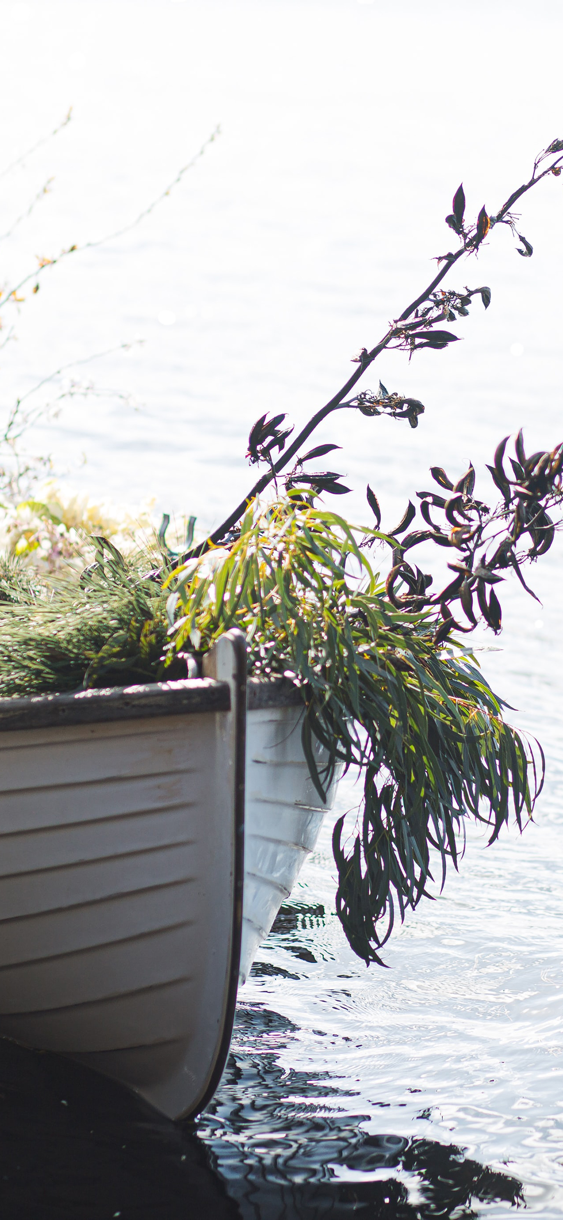 [2436×1125]湖泊 船只 鲜花 杂草 苹果手机壁纸图片