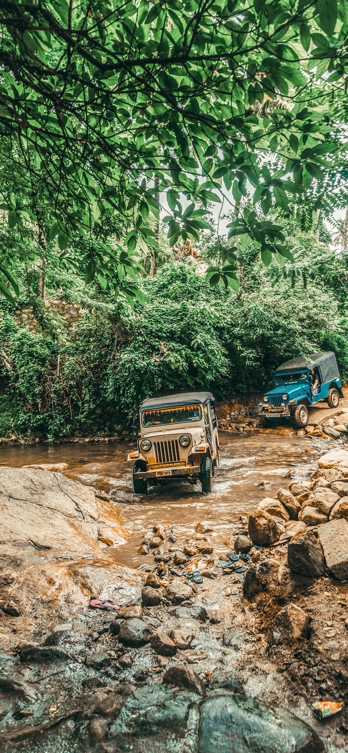 [2436×1125]溪水 树林 汽车 运输 石块 苹果手机壁纸图片
