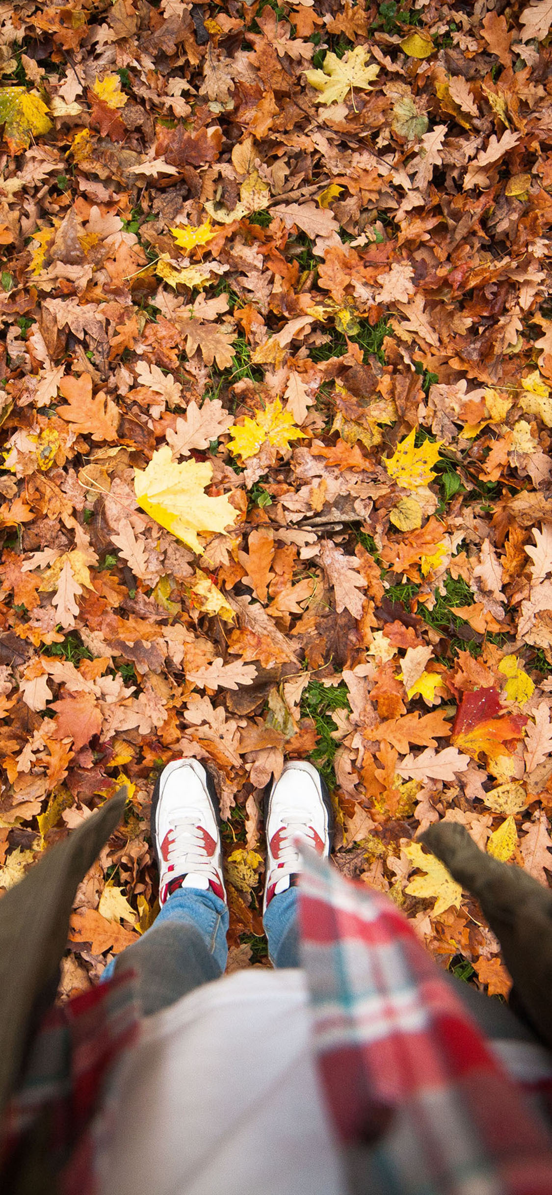 [2436×1125]满地落叶 运动鞋 唯美 秋意 苹果手机壁纸图片