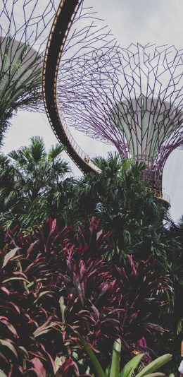 [2436x1125]滨海湾花园 地标 建筑 新加坡 苹果手机壁纸图片