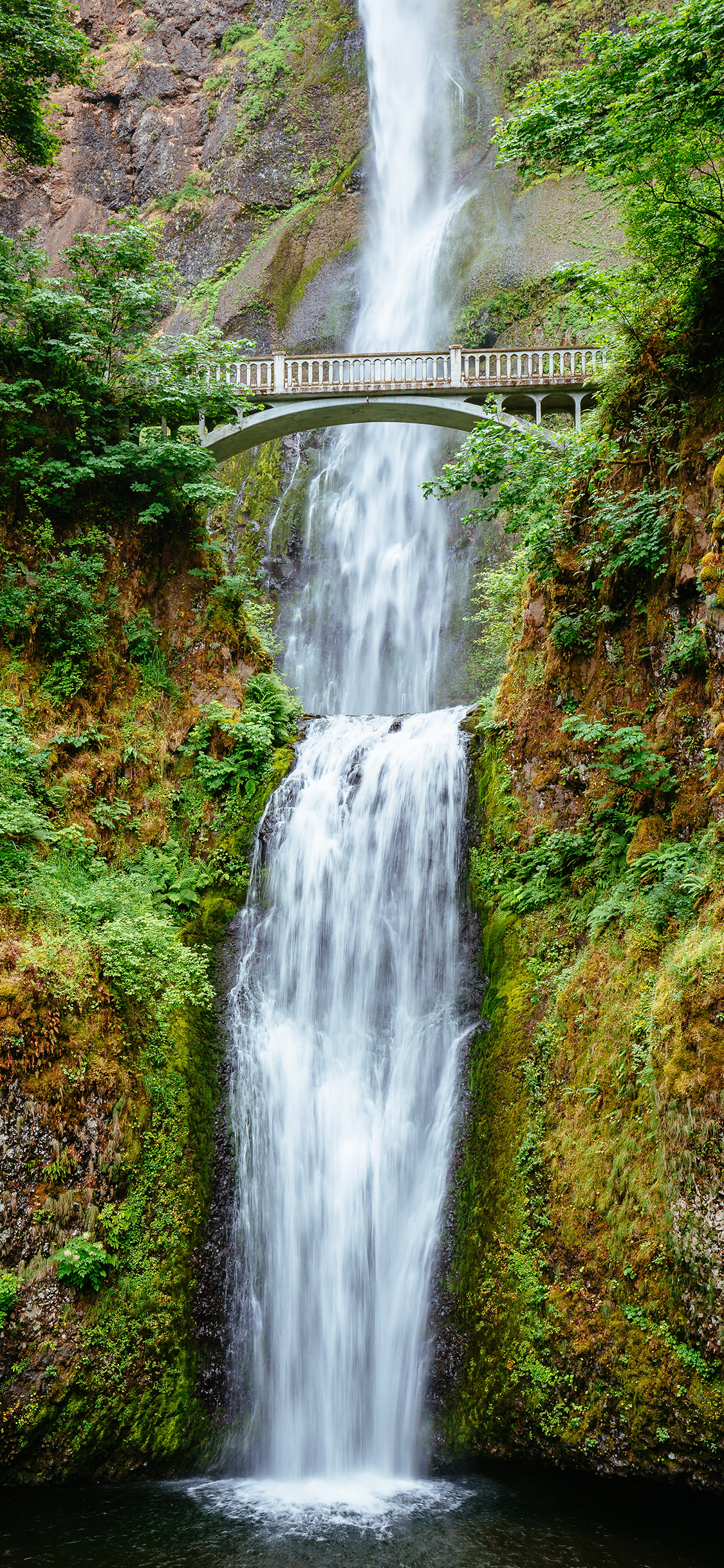 [2436×1125]瀑布 景色 桥梁 山林 苹果手机壁纸图片