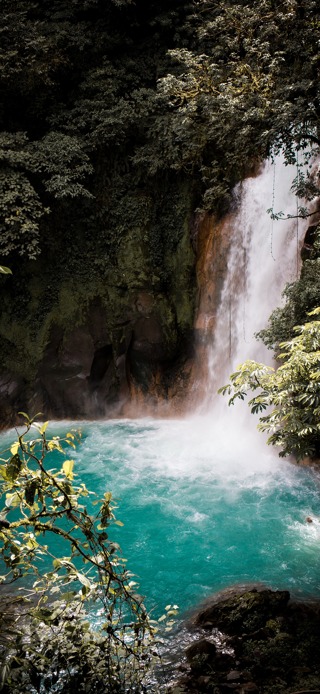 [2436×1125]瀑布 流水 树林 自然 苹果手机壁纸图片