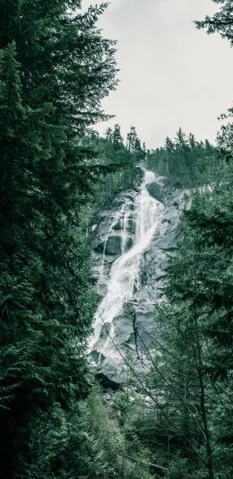 [2436x1125]瀑布 礁石 树林 自然 苹果手机壁纸图片