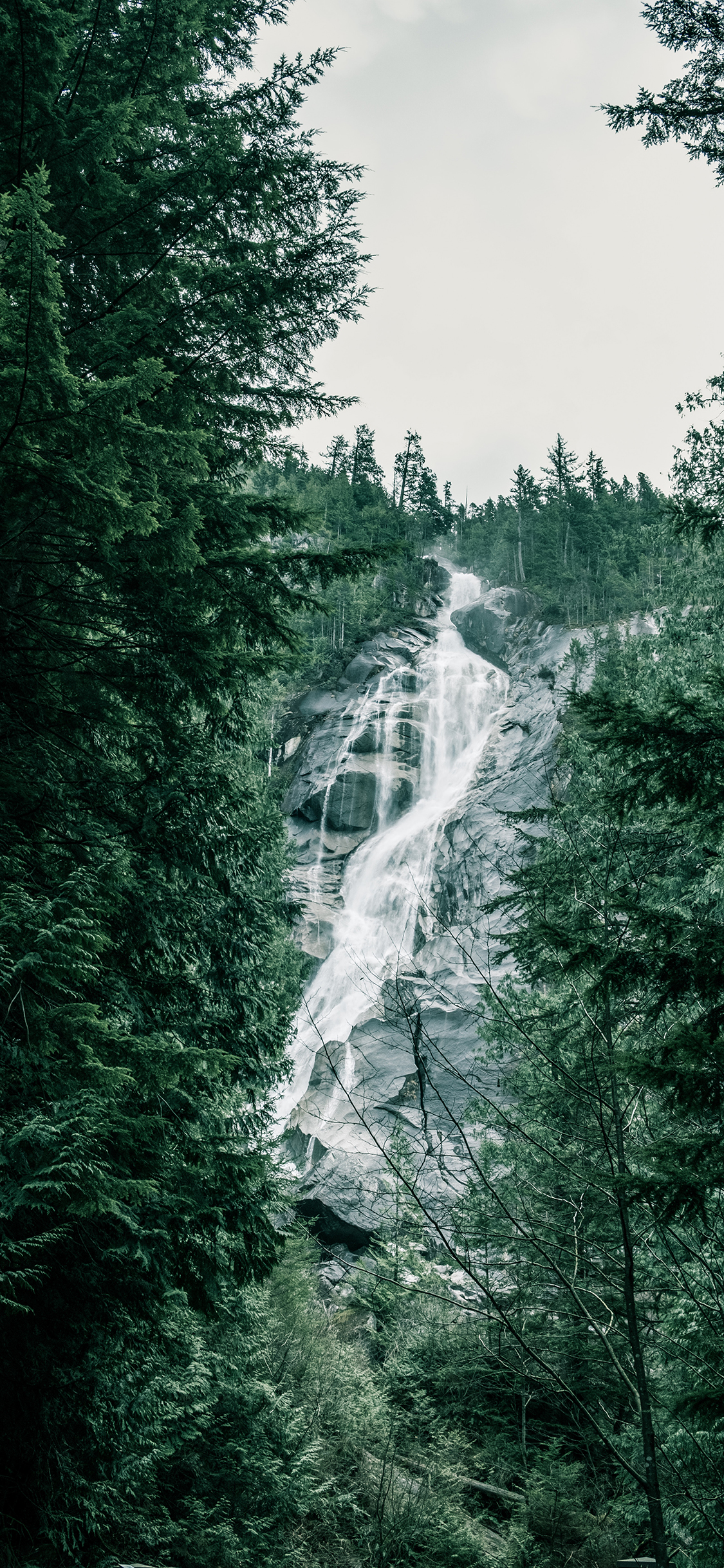 [2436×1125]瀑布 礁石 树林 自然 苹果手机壁纸图片