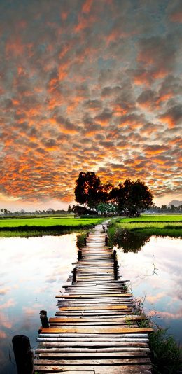 [2436x1125]火烧云 湖泊 田野 唯美风景 苹果手机壁纸图片