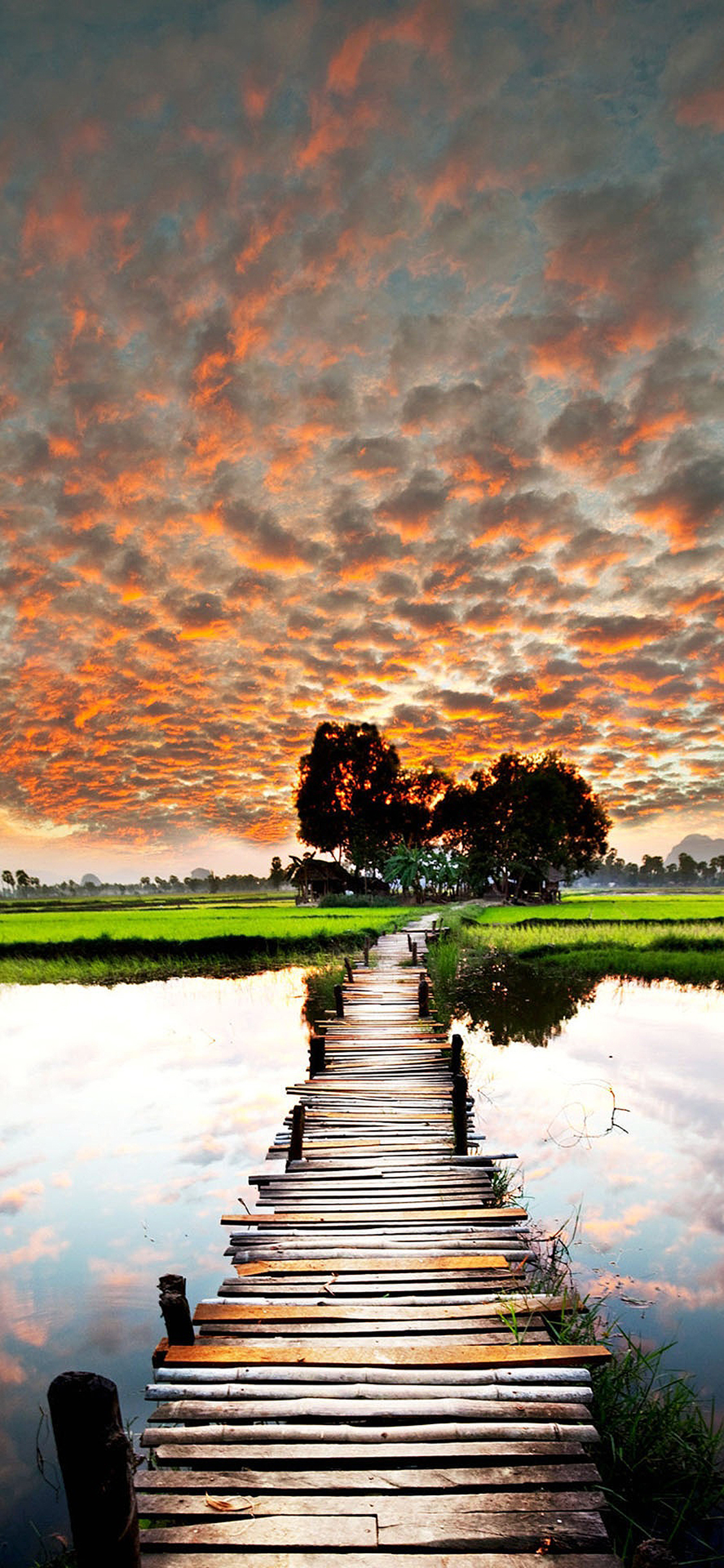 [2436×1125]火烧云 湖泊 田野 唯美风景 苹果手机壁纸图片